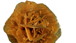 石(shi)膏磨(mo)粉(fen)